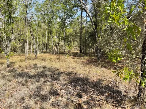 Lot 6 SE 2 Street Williston FL 32696