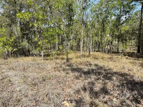 Lot 6 SE 2 Street Williston FL 32696