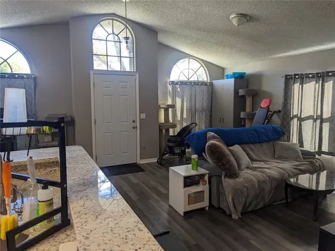7323 R J Cove Court Orlando FL 32822