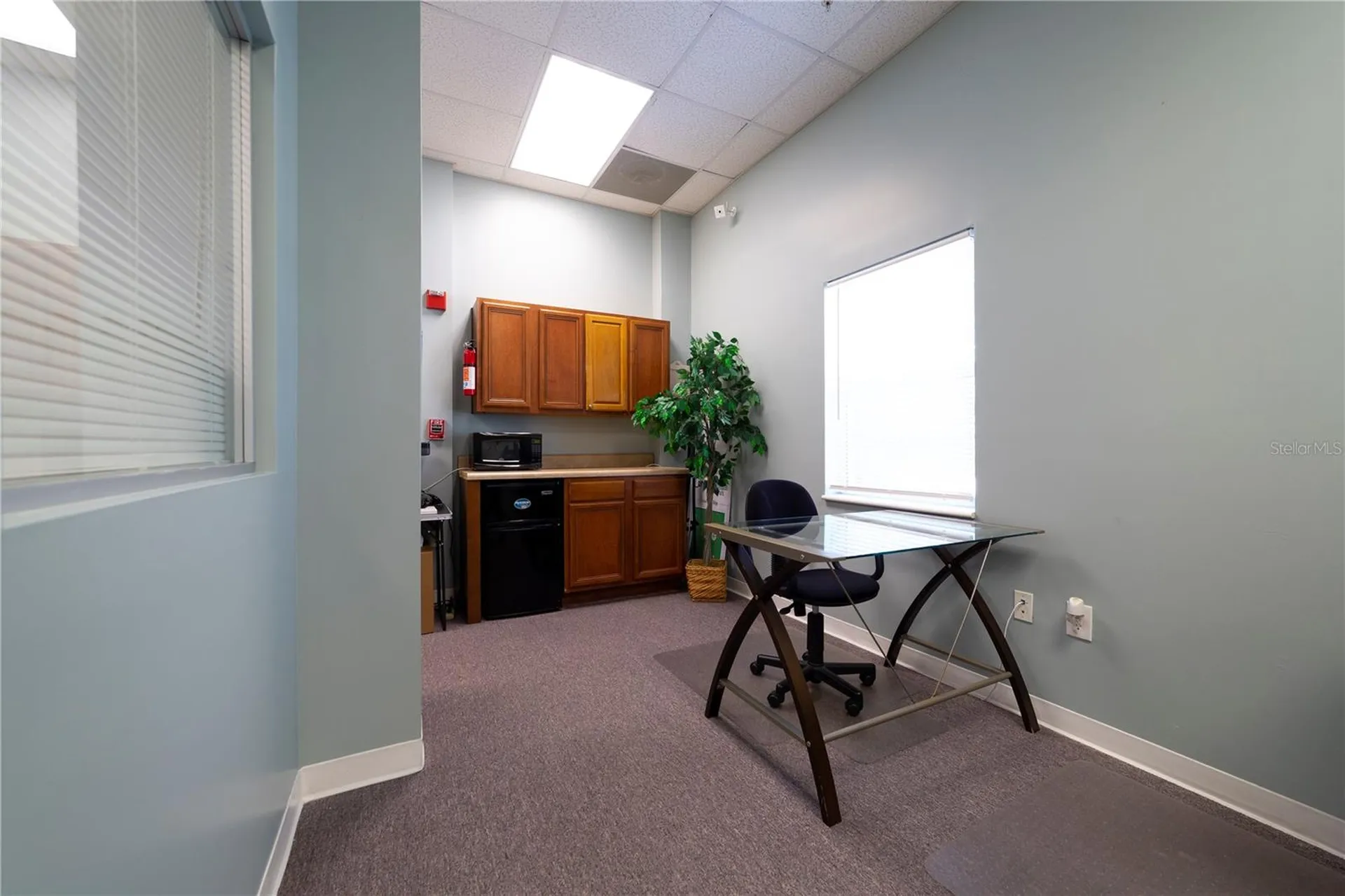 12250 Menta Street Orlando FL 32837