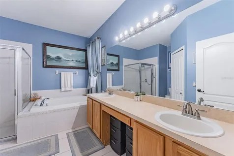 3150 Gianna Way Land O Lakes FL 34638