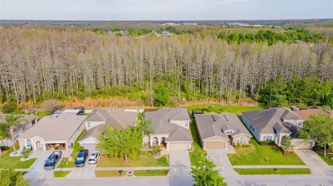 3150 Gianna Way Land O Lakes FL 34638