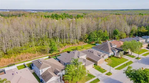 3150 Gianna Way Land O Lakes FL 34638