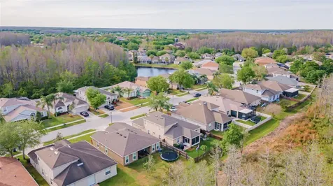 3150 Gianna Way Land O Lakes FL 34638