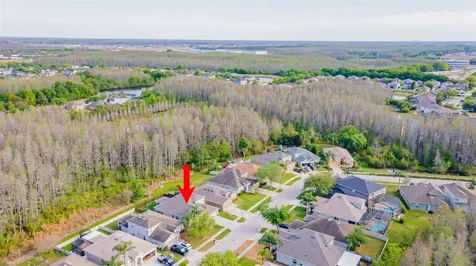 3150 Gianna Way Land O Lakes FL 34638