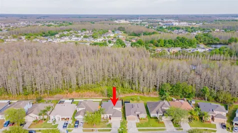 3150 Gianna Way Land O Lakes FL 34638