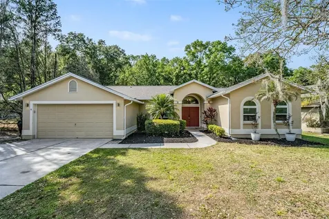 5115 Swallow Drive Land O Lakes FL 34639