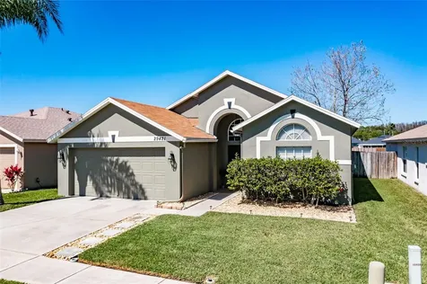 29421 Crossland Drive Wesley Chapel FL 33543