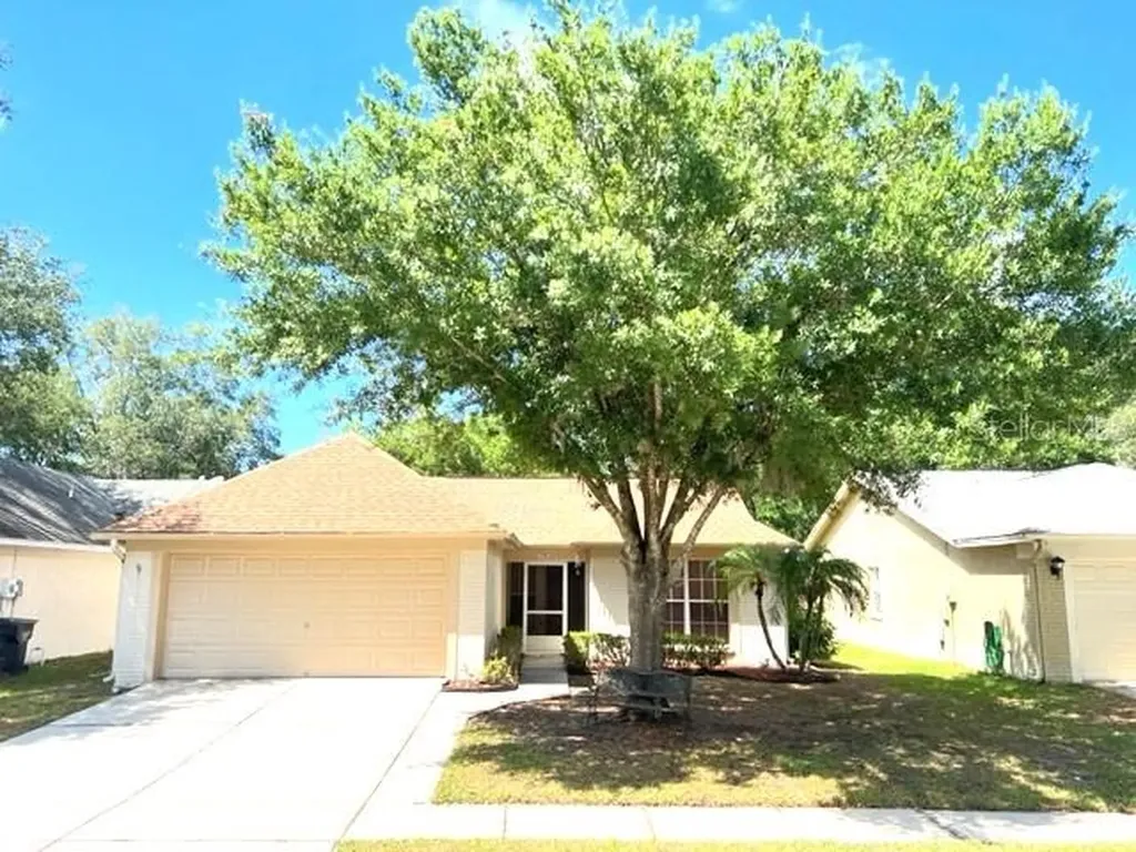 1110 Hardwood Drive Valrico FL 33596
