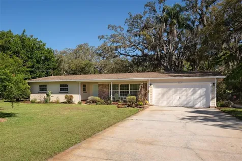 3019 Lake Ellen Drive Tampa FL 33618