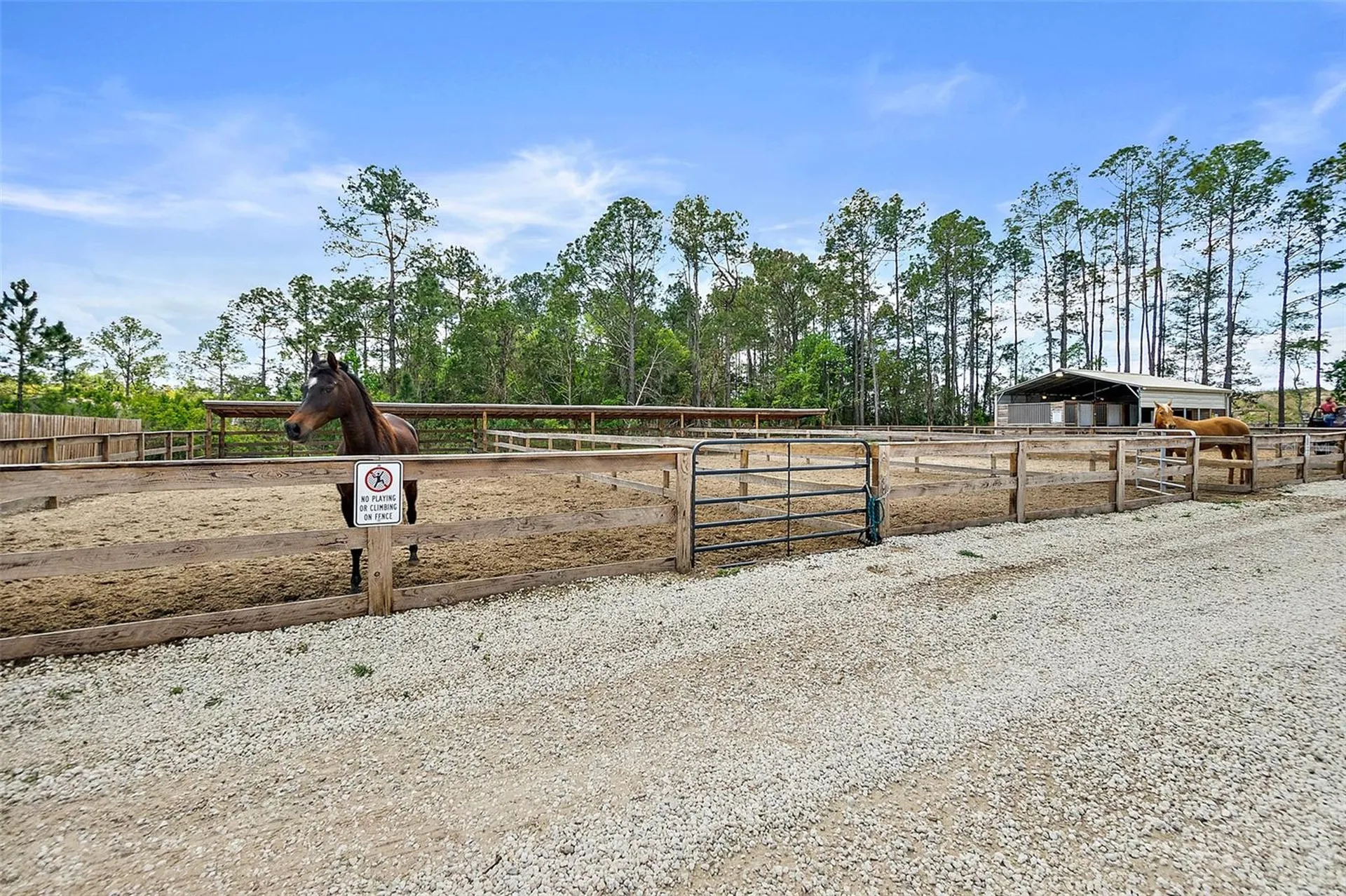 3305 County Road 305 Bunnell FL 32110