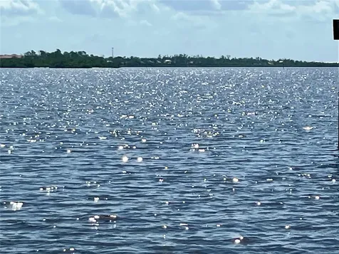12437 Ran Terrace Port Charlotte FL 33981