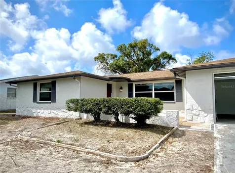 11225 Yewtree Avenue Port Richey FL 34668