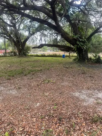 15253 Old Cheney Highway Orlando FL 32828