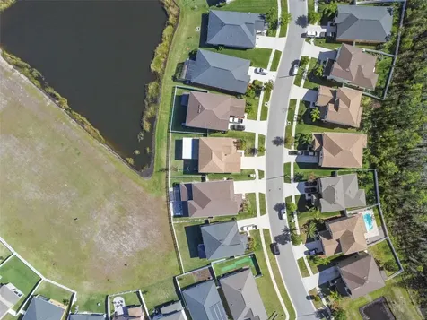 4127 Shrewbury Place Land O Lakes FL 34638