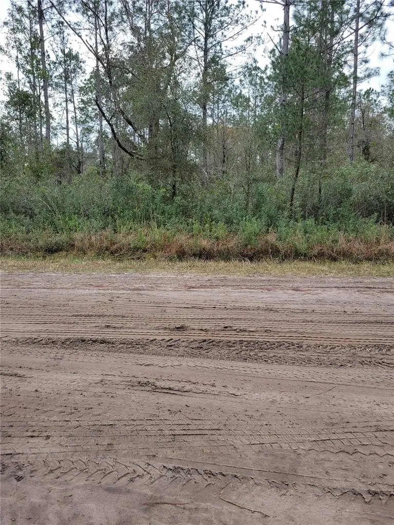 5009 Jonathan Street Hastings FL 32145