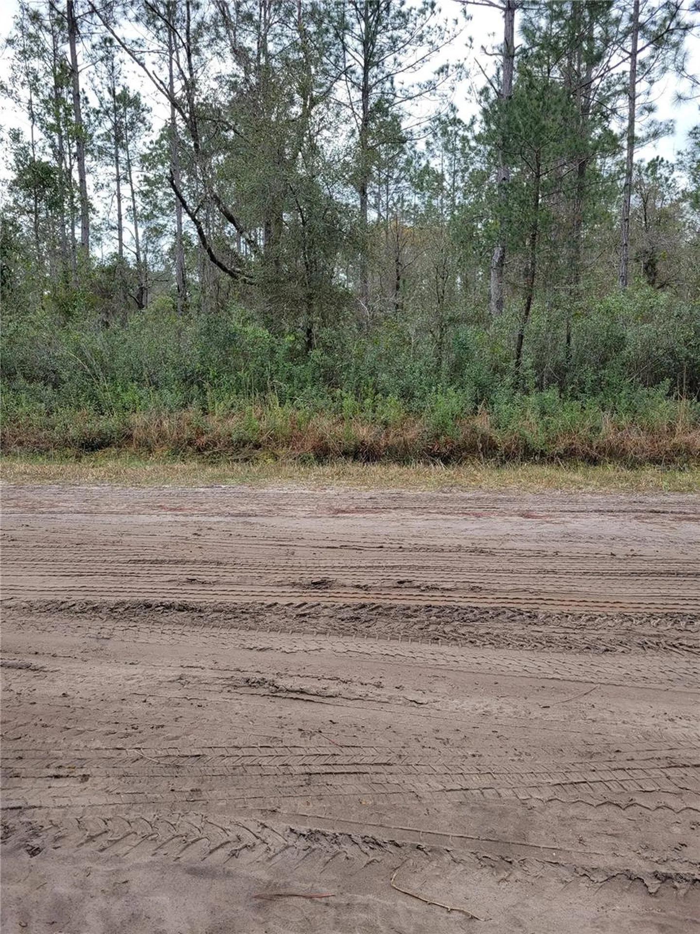 5009 Jonathan Street Hastings FL 32145