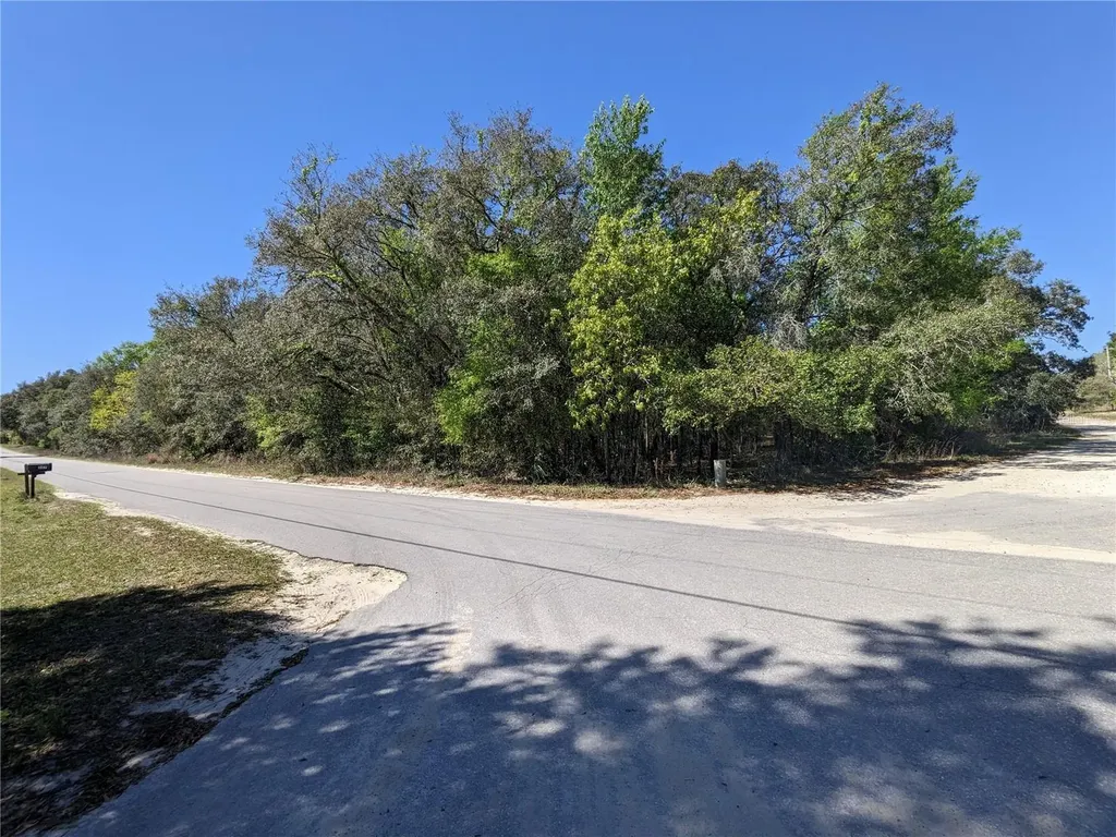 210 E Pilar Street Hernando FL 34442