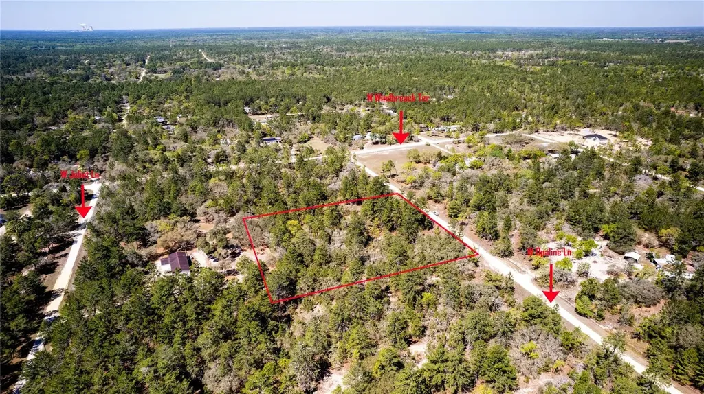 5292 W Opaline Lane Dunnellon FL 34433