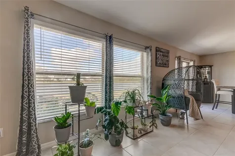 11815 Blackeyed Susan Drive Riverview FL 33579