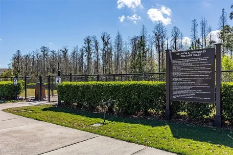 4629 San Martino Drive Wesley Chapel FL 33543