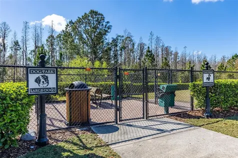 4629 San Martino Drive Wesley Chapel FL 33543