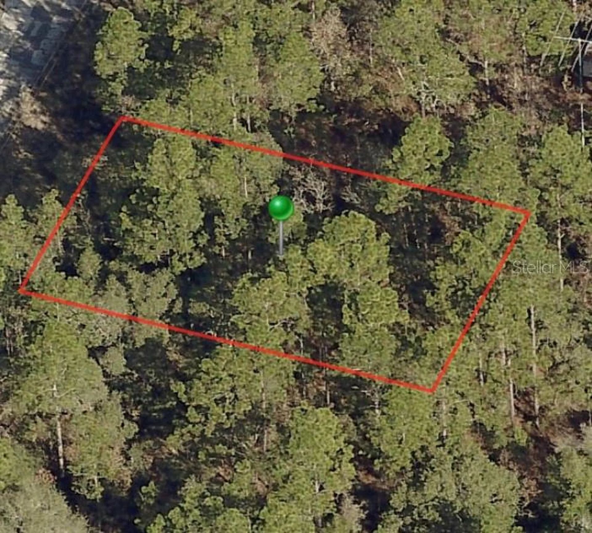 2982 W Marie Drive Citrus Springs FL 34433
