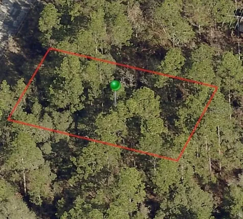 2982 W Marie Drive Citrus Springs FL 34433
