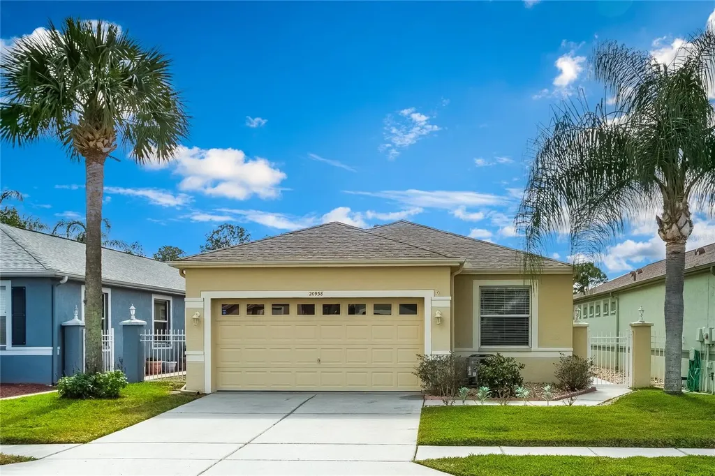 20938 Tangor Road Land O Lakes FL 34637