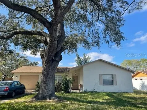11206 Larkwood Way Tampa FL 33625