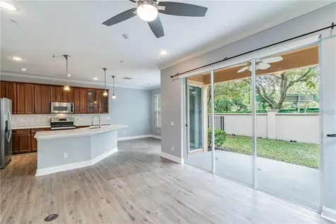 14525 Mirabelle Vista Circle Tampa FL 33626