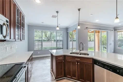 14525 Mirabelle Vista Circle Tampa FL 33626