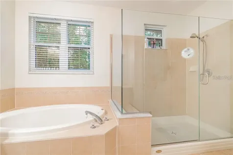 14525 Mirabelle Vista Circle Tampa FL 33626