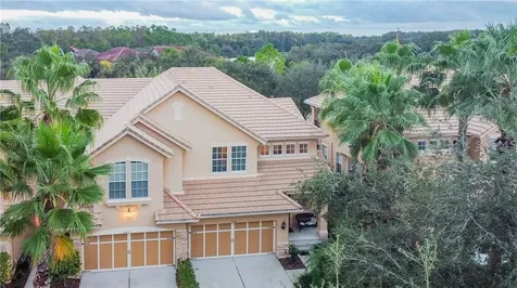 14525 Mirabelle Vista Circle Tampa FL 33626