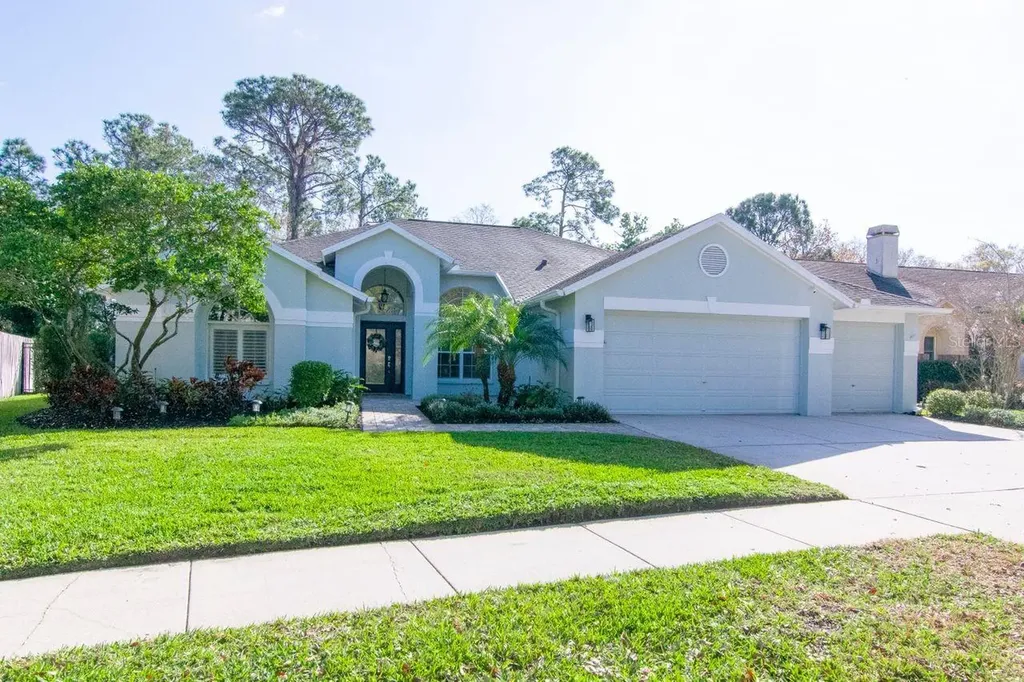 10513 Chambers Drive Tampa FL 33626