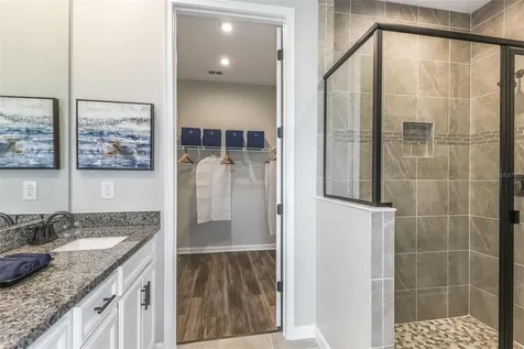 5920 Timberdale Avenue Wesley Chapel FL 33545