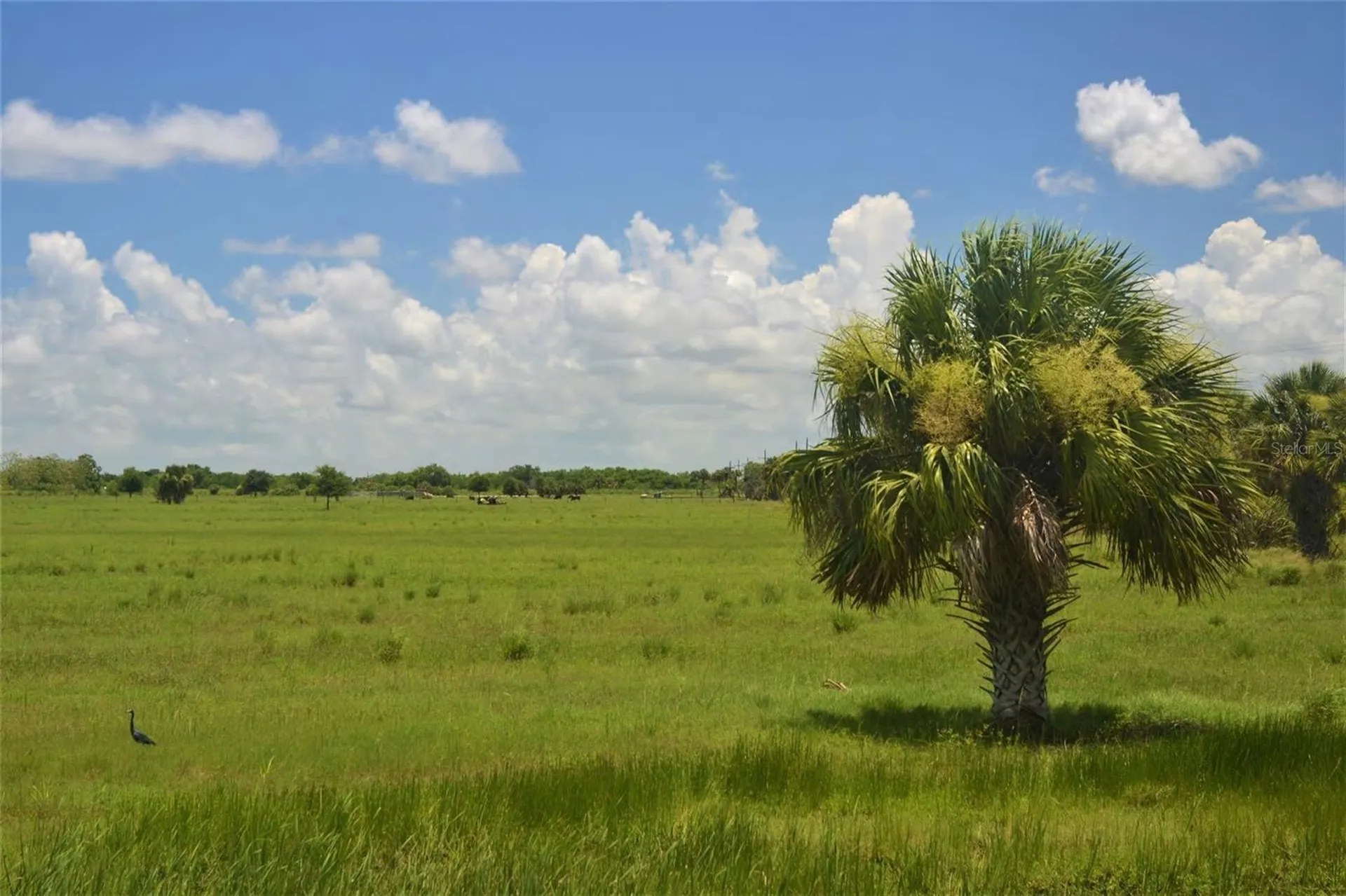 Schumann Road Fort Pierce FL 34945