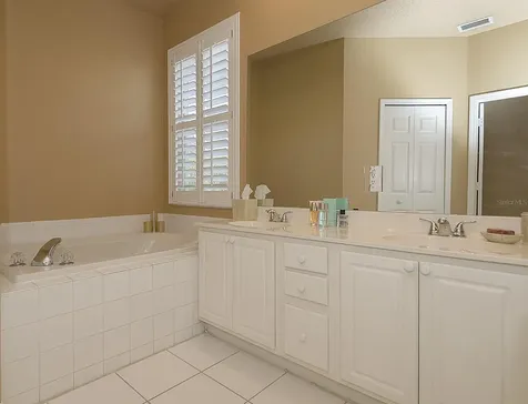 3830 Chaucer Way Land O Lakes FL 34639