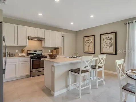 1033 Fig Street Tavares FL 32778