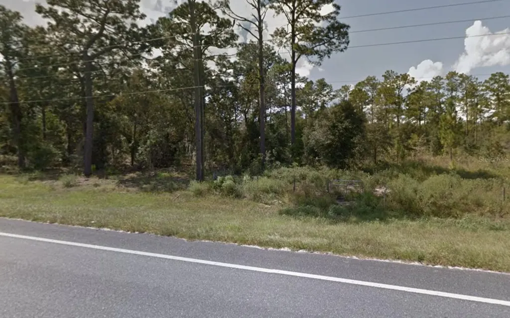 2538 SE State Road 121 Morriston FL 32668