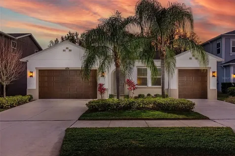 31968 Rothbury Court Wesley Chapel FL 33543
