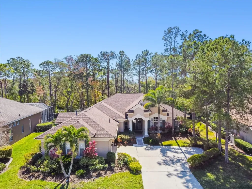 10563 Greensprings Drive Tampa FL 33626