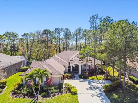 10563 Greensprings Drive Tampa FL 33626