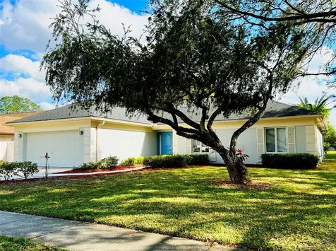 9207 Regents Park Drive Tampa FL 33647