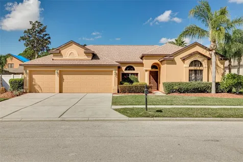10807 Rain Lilly Pass Land O Lakes FL 34638