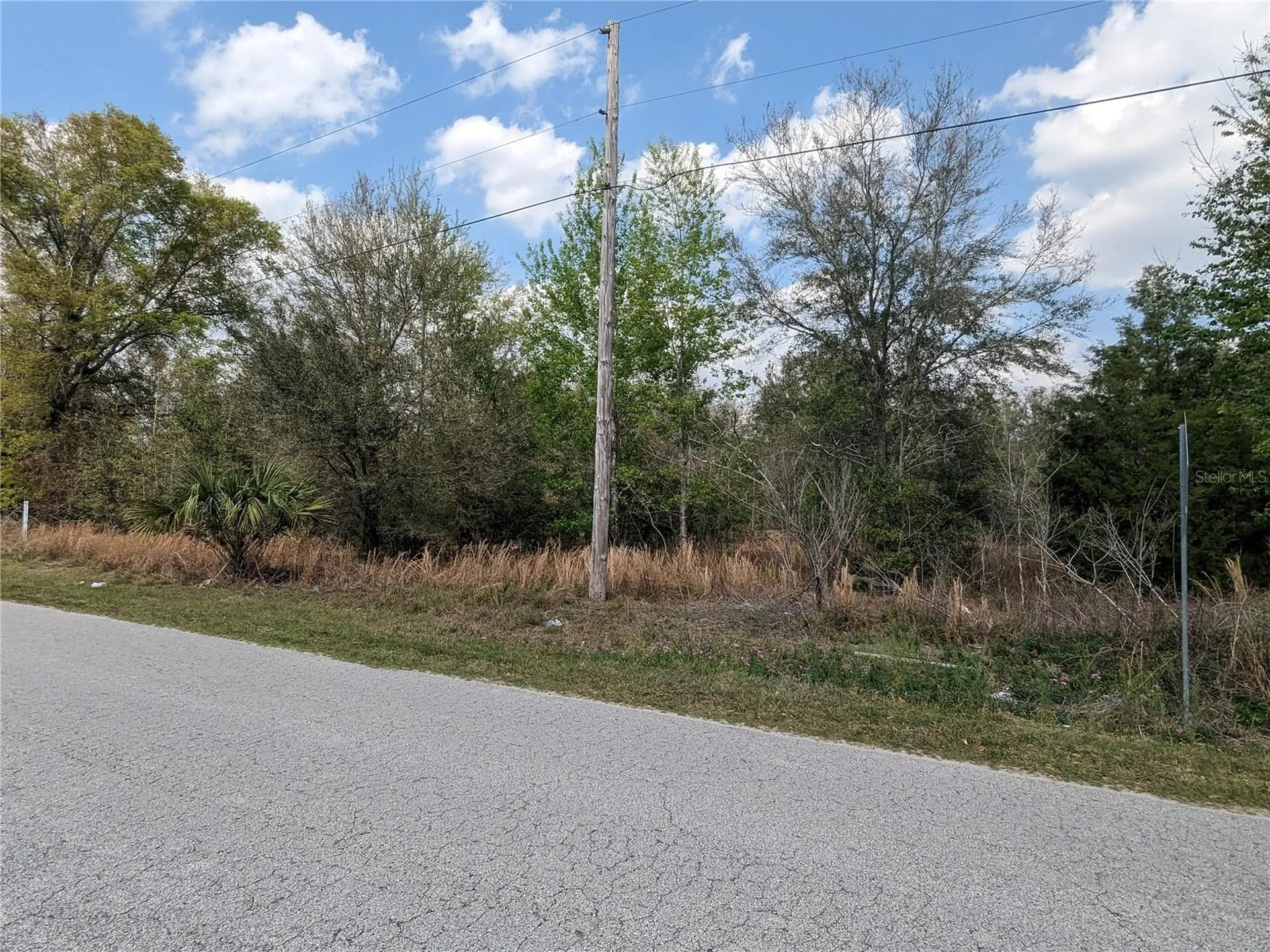 7711 SE 126th Place Belleview FL 34420