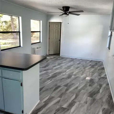 4045 Cr 402a Lake Panasoffkee FL 33538