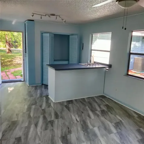 4045 Cr 402a Lake Panasoffkee FL 33538