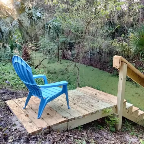 4045 Cr 402a Lake Panasoffkee FL 33538