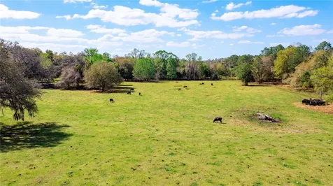 17525 Us Highway 301 Dade City FL 33523